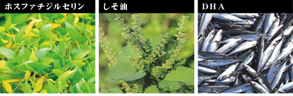 BRA-BIO成分