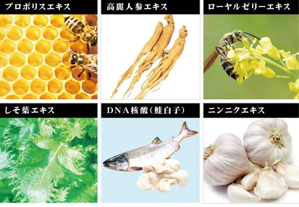 EX-VIT成分