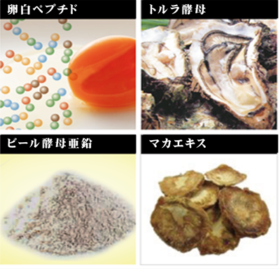 G-VIGOR成分