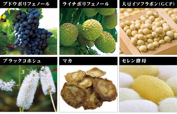 VIGOR成分