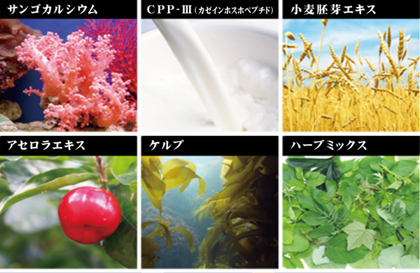 ZINGY-F1成分
