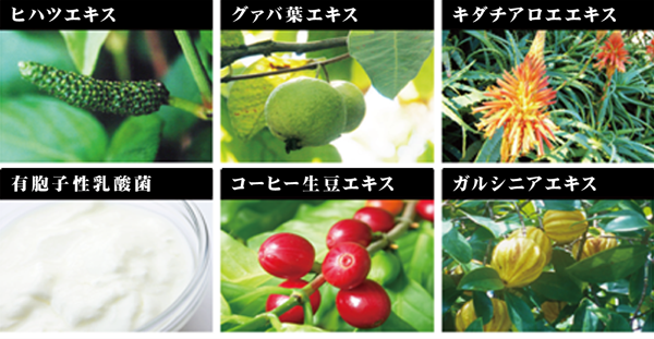smooth成分